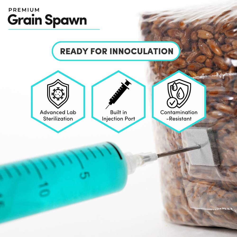 
                      
                        Sterile Whole Oats Grain Spawn
                      
                    