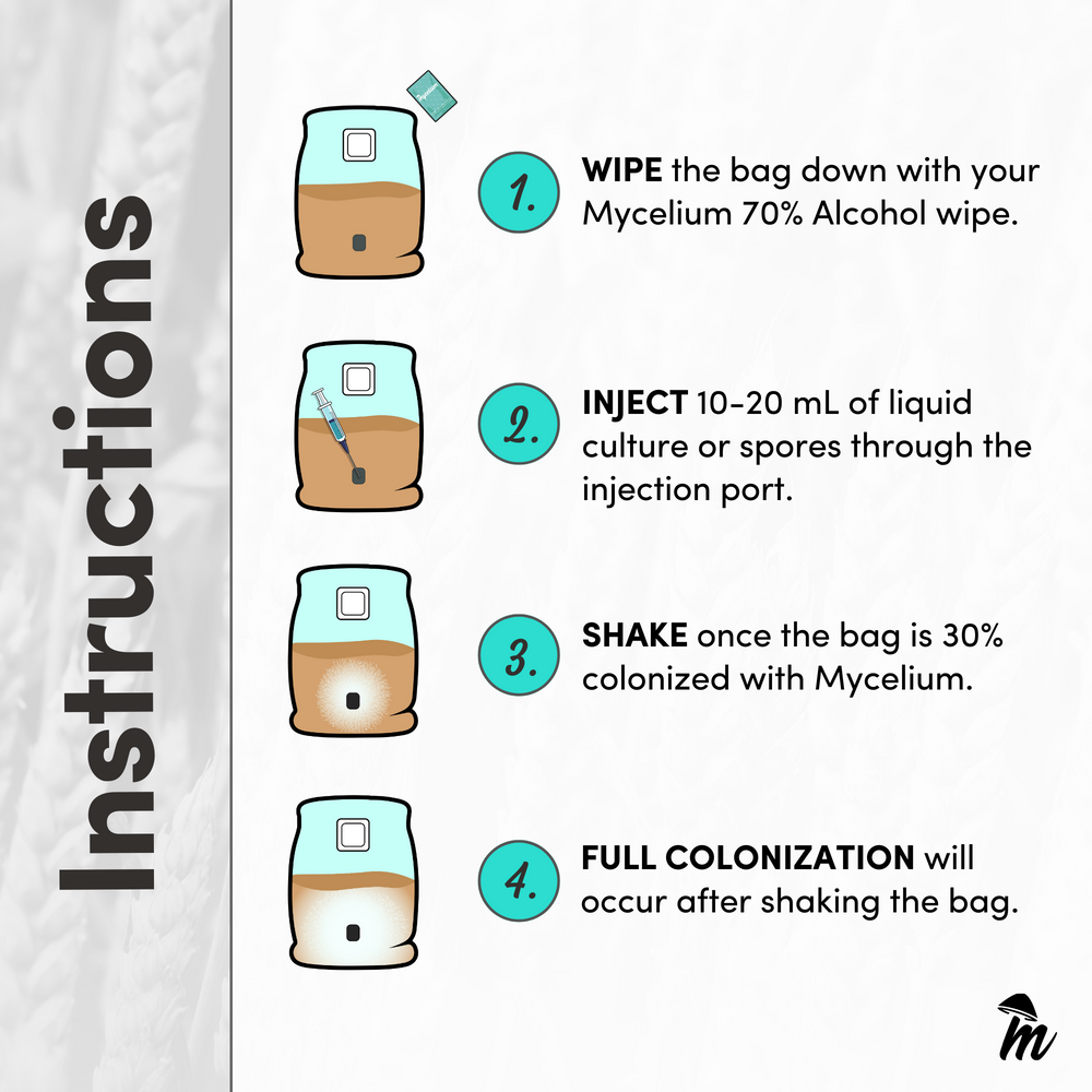 
                      
                        Sterile Mycelium+ Millet/Milo Grain Mix
                      
                    