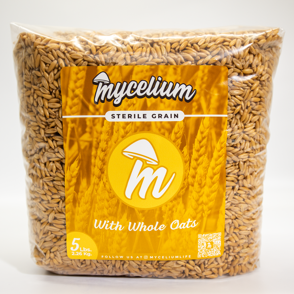 Sterile Whole Oats Grain