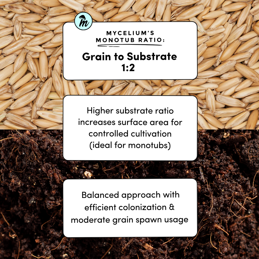 
                      
                        Sterile Whole Oats Grain
                      
                    