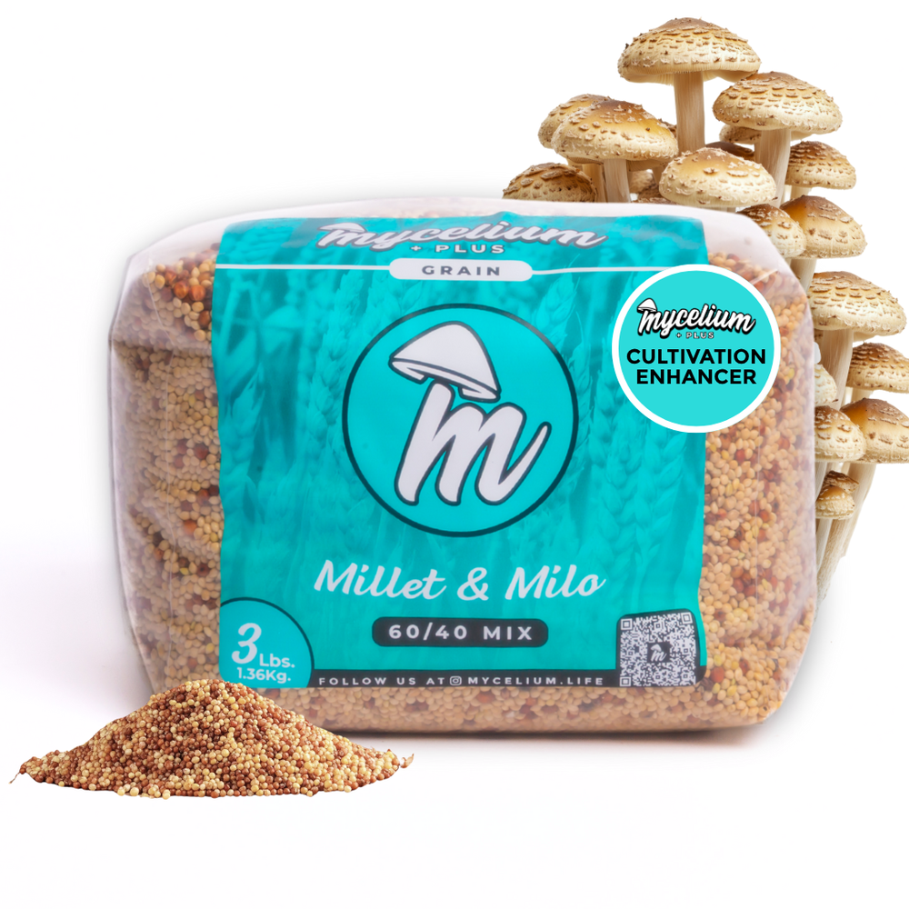 
                      
                        Sterile Mycelium + Millet/Milo Grain Mix
                      
                    