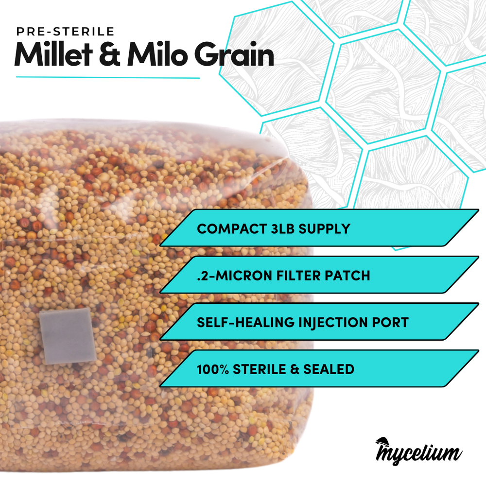 
                      
                        Sterile Mycelium+ Millet/Milo Grain Mix
                      
                    