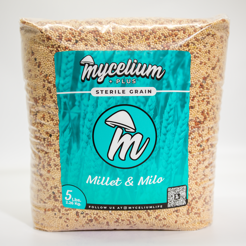 
                      
                        Sterile Mycelium+ Millet/Milo Grain Mix
                      
                    