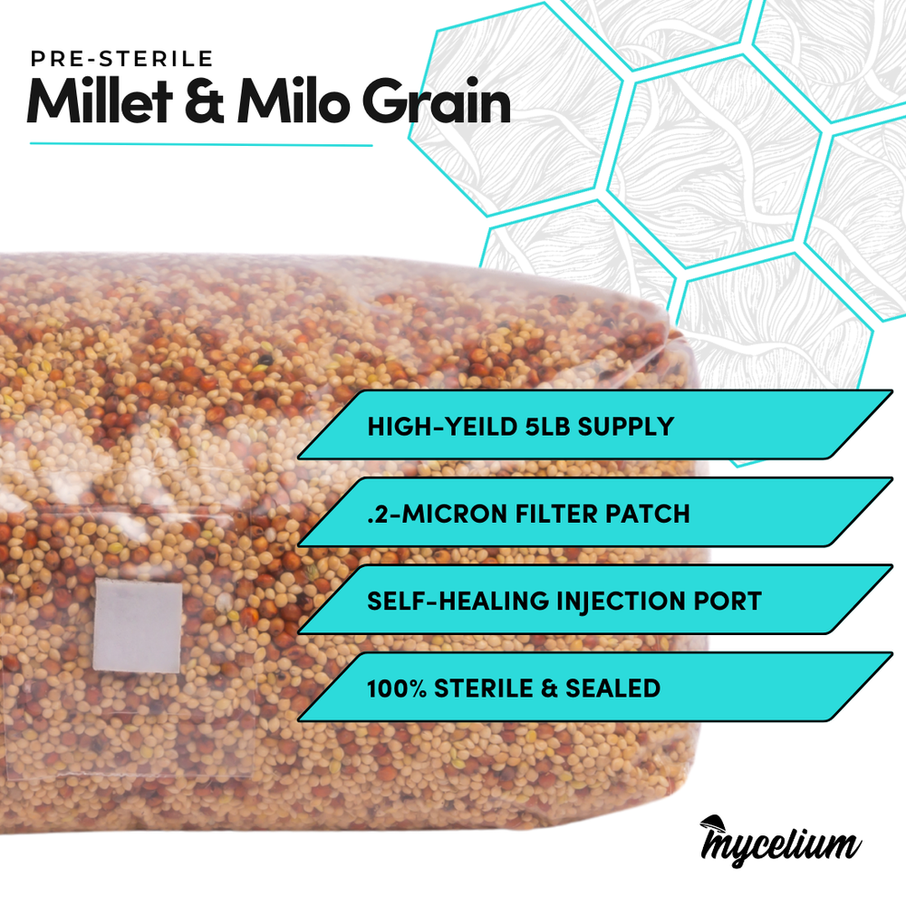 Sterile Mycelium+ Millet/Milo Grain Mix
