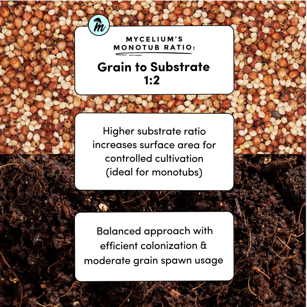 
                      
                        Sterile Mycelium+ Millet/Milo Grain Mix
                      
                    