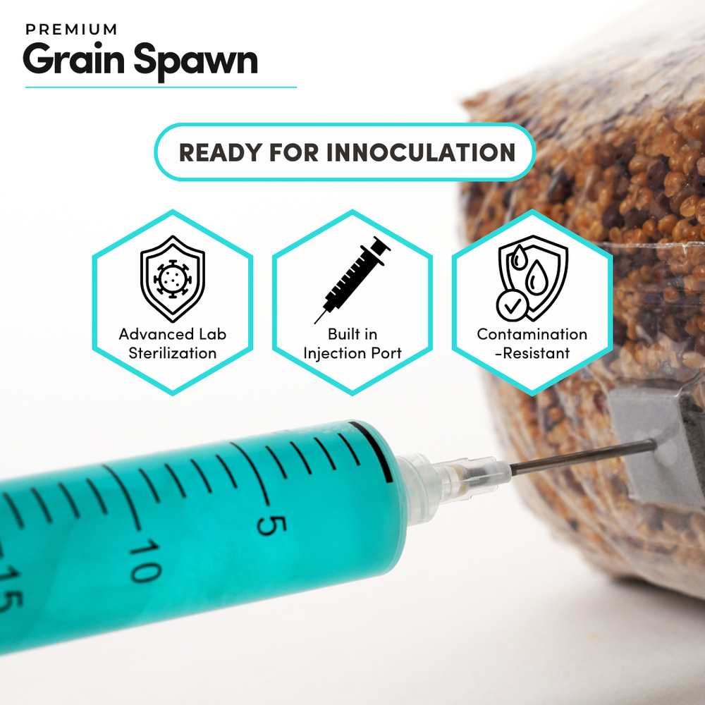 
                      
                        Sterile Mycelium+ Millet/Milo Grain Mix
                      
                    