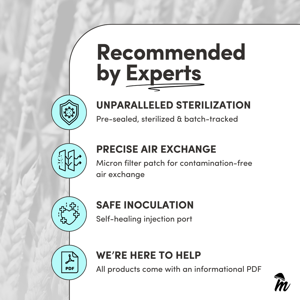 
                      
                        Sterile Mycelium+ Millet/Milo Grain Mix
                      
                    