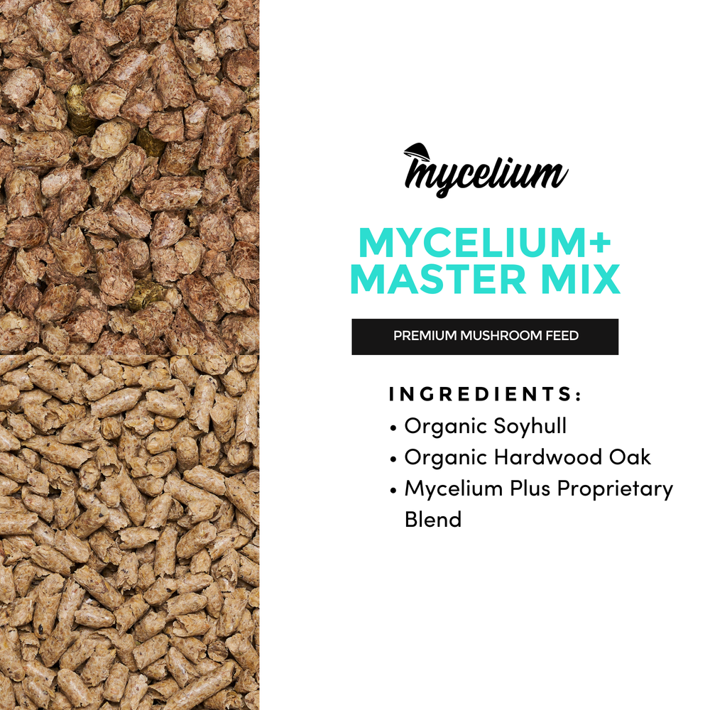 
                      
                        Mycelium Plus Master Mix
                      
                    