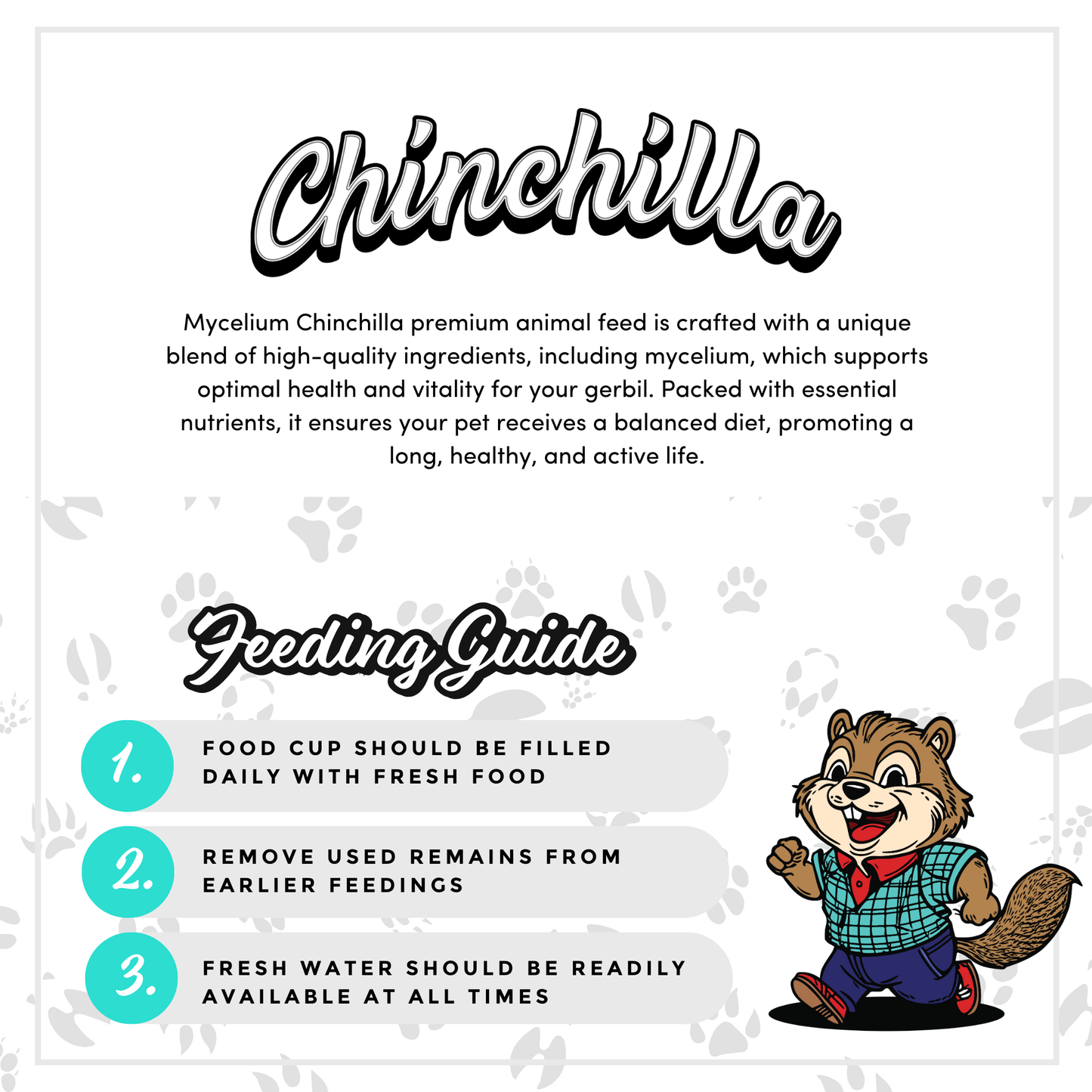 Pet Chinchilla Chinchilla Care Guide Chinchilla Pet Care The