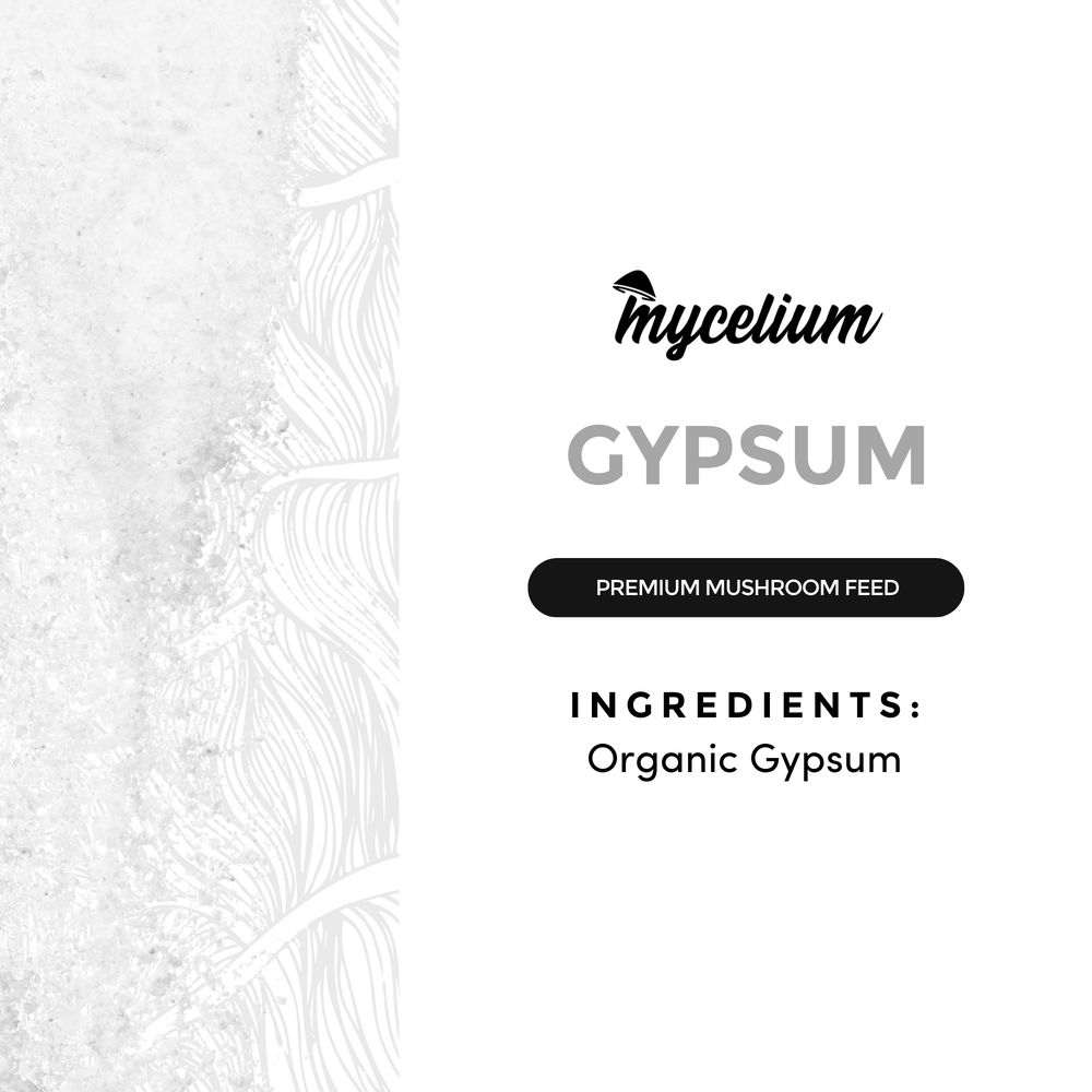 
                      
                        Gypsum
                      
                    