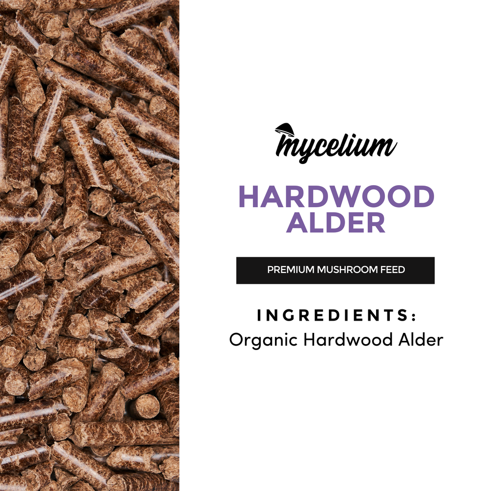 
                      
                        Hardwood Alder
                      
                    