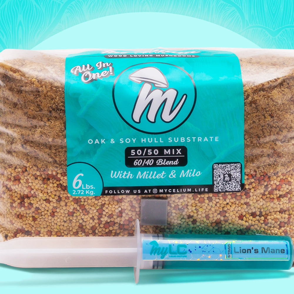 Mycelium Life
