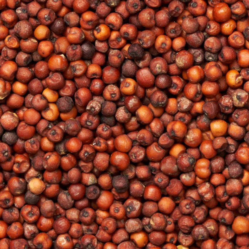 Sterile Milo Grain Spawn