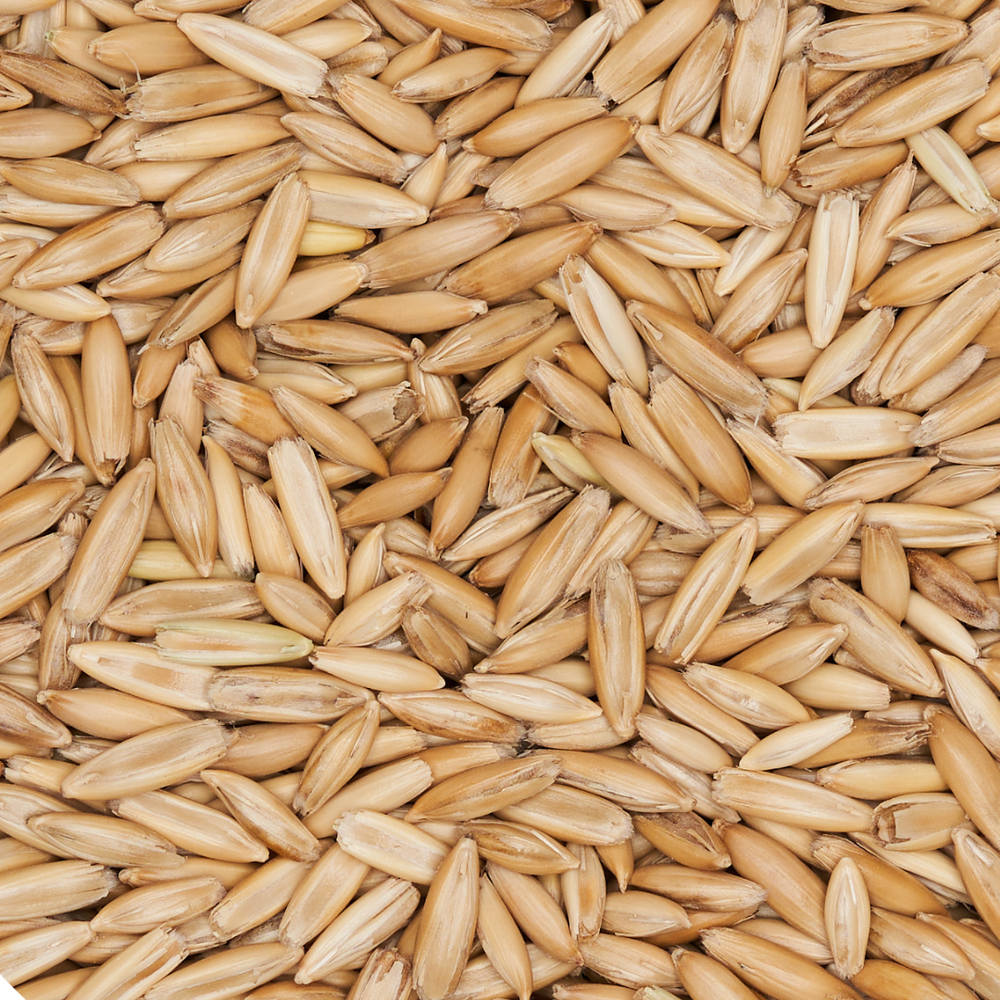 CVG Substrate & Whole Oats Grain Bundle