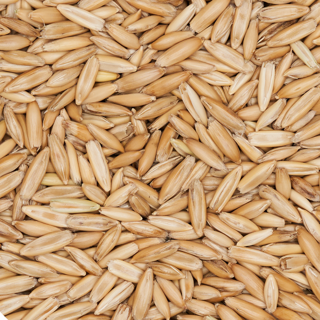 CVG Substrate & Whole Oats Grain Bundle